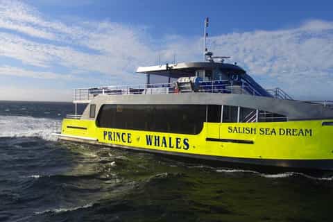Vancouver, BC: Half-Day Whale Watching Tour