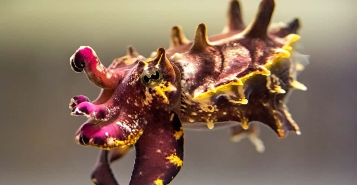 Los Angeles: Aquarium of the Pacific Skip-the-Line Tickets