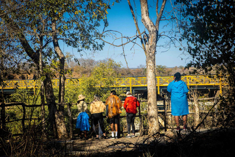 Całodniowa wycieczka do wodospadu Wiktorii z basenem Angels&#039; Pool