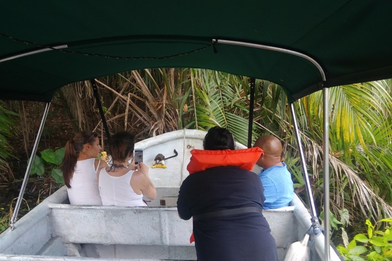 From Panama City: Panama Canal and Monkey Island Tour Guided Private Tour in Spanish