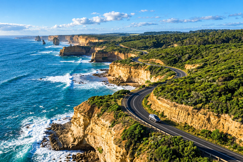 Melbourne: Great Ocean Road Tour, 12 Apostles & Apollo Bay Melbourne CBD Meeting Point (Max 50 guests)