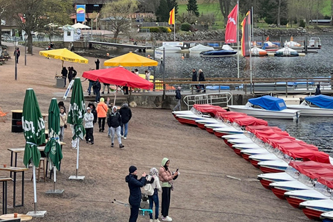 Vanuit Bazel: privé-excursie naar het Zwarte Woud, watervallen en meren