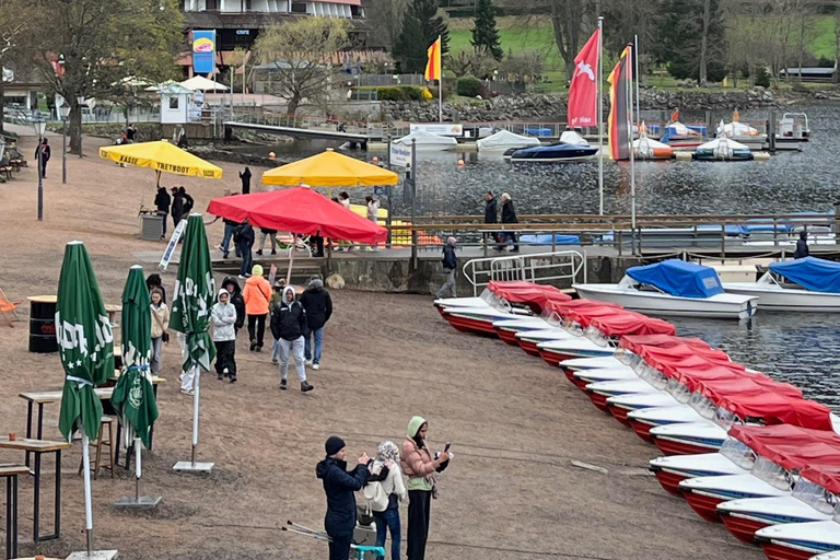 Vanuit Bazel: privé-excursie naar het Zwarte Woud, watervallen en meren