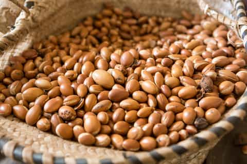 Marrakech: Atlas Mountains and Agafay Desert Day Trip