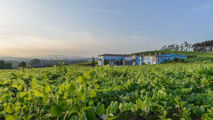 granbazán winery guided tour and wine tasting