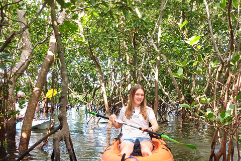 UZI ISLAND MANGROVE CONSAVATION WITH KAYAK TOUR PRIVATE TOUR WITH TRANSFER INCLUDED