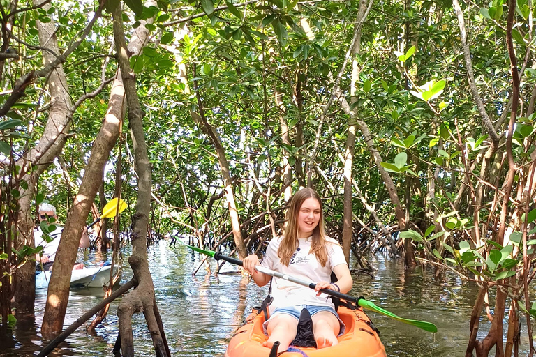 UZI ISLAND MANGROVE CONSAVATION WITH KAYAK TOUR PRIVATE TOUR WITH TRANSFER INCLUDED