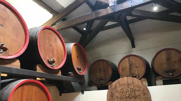 châteauneufdupape visite autonome avec dégustations de vins
