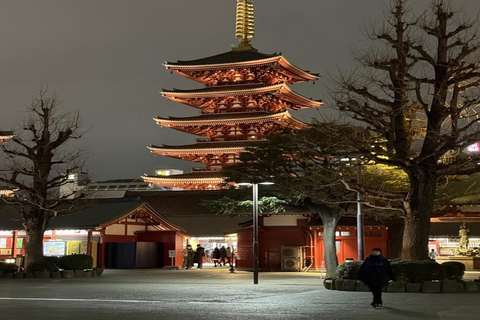 Tokyo Private Full-Day Customizable Tour with English Guide