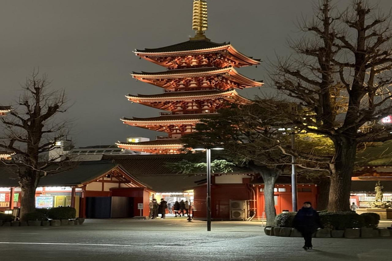 Tokyo Private Full-Day Customizable Tour with English Guide