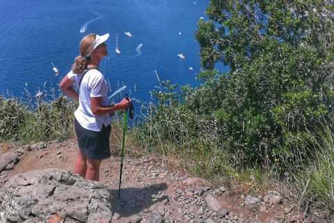 PATH OF THE GODS with NINO Expert local Guide free transport