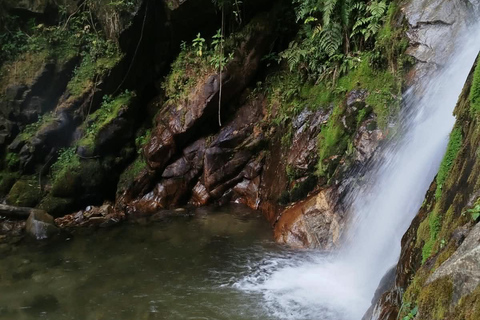 Medellín: Trekking and nature adventure at the Chorro de Campanas waterfall Medellín: Trekking and Nature Adventure at the Chorro de Campanas Waterfall