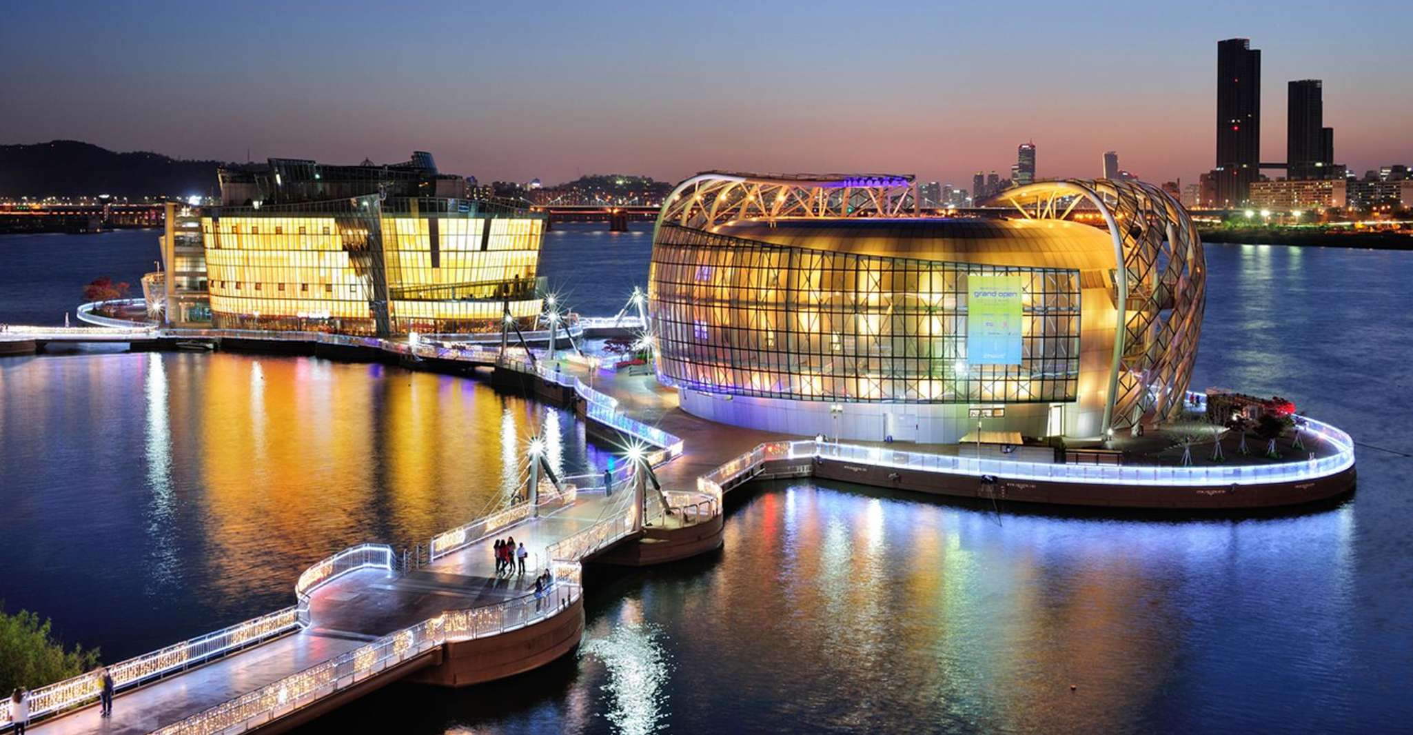 Seoul: Moonlight Rainbow Fountain Show Night Tour