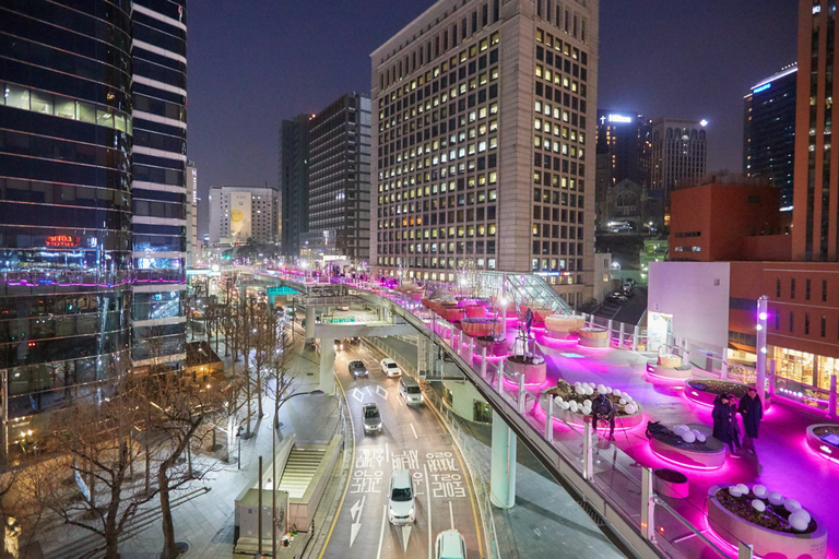 Seoul: Tour serale con spettacolo della fontana arcobaleno al chiaro di luna