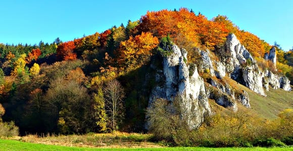 From Krakow: Ojców National Park Small Group Trip with Lunch