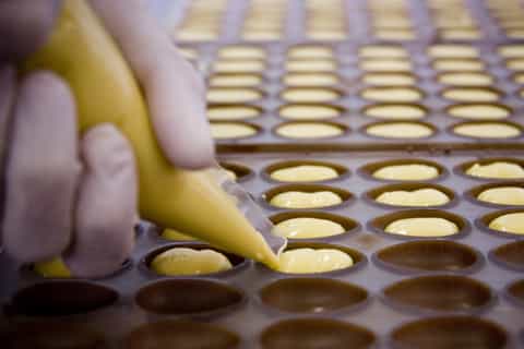 Phillip Island : Chocolate Factory Experience