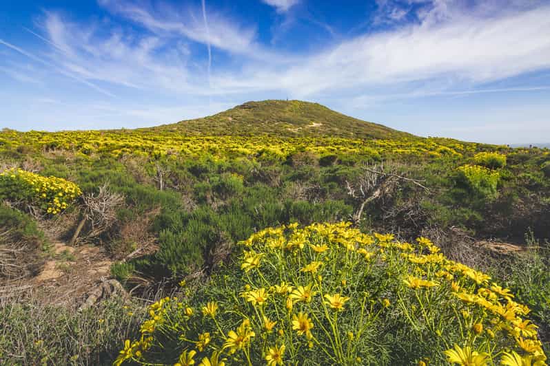 Malibu: 4-stündiges Klettern im Freien am Strand | GetYourGuide