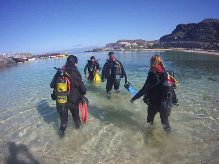 Gran Canaria Try Scuba Diving for Beginners GetYourGuide