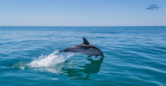 Exclusive Vilamoura: Dolphin Search & Benagil Cave Catamaran