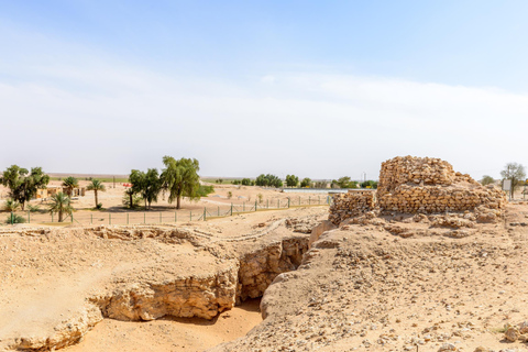 Lost City (heldagsutflykt till Rub Al Khali)