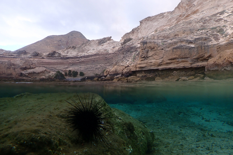 Porto Santo: Snorkeling Tour