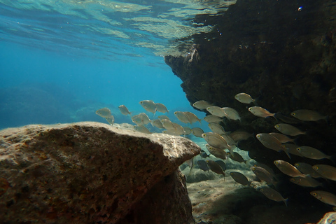 Porto Santo: nurkowanie z rurką