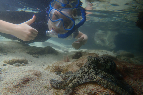 Porto Santo: Snorkeling Tour