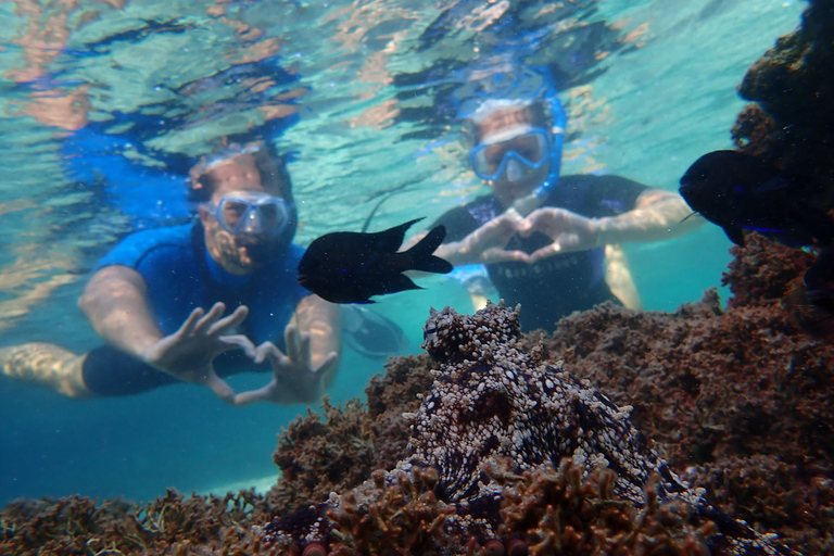 Porto Santo: Snorkeling Tour