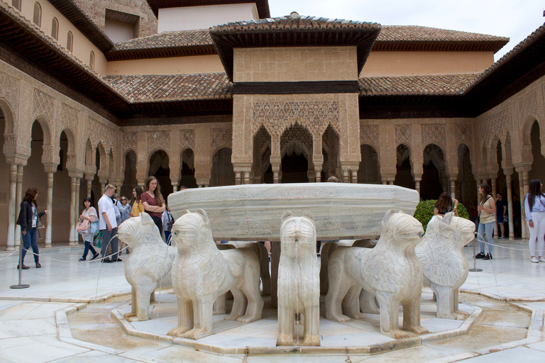 Granada: Tour guidato dell&#039;Alhambra con i palazzi nazarìTour per piccoli gruppi in inglese