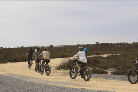 Cape Town: Self Drive E-Bike Safari Tour