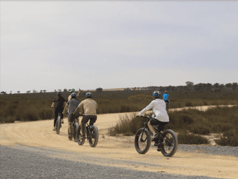 Kapstadt: E-Bike-Safari-Tour mit Selbstfahrer Kapstadt: E-Bike-Safari-Tour mit Selbstfahrer
