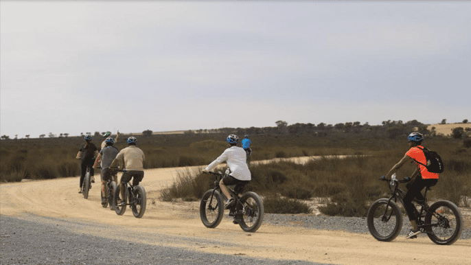 cidade do cabo excursão de ebike safari com self drive