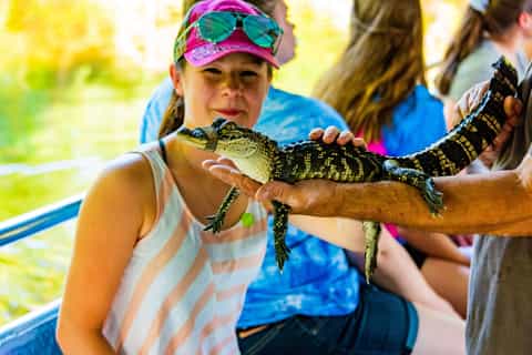 Louisiana Plantation & Swamp Boat Bayou Full-Day Tour Combo