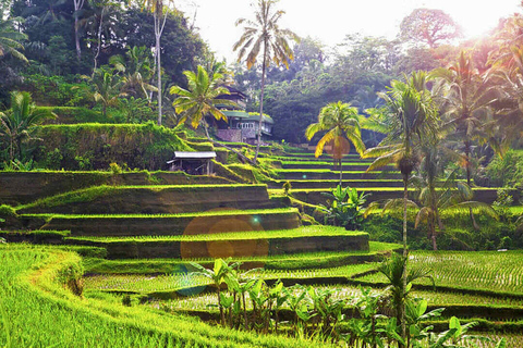 Ubud: Wood Carving Class in een Balinees huis