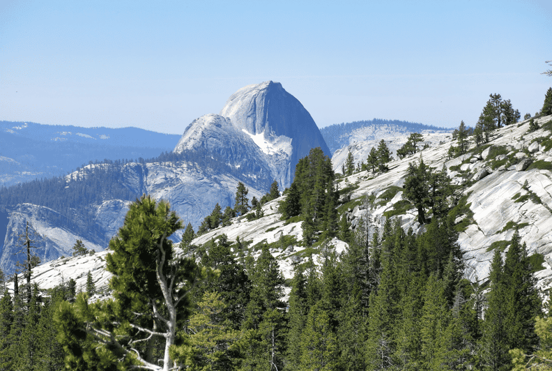 From El Portal Yosemite High Country Guided Hike Day Tour GetYourGuide