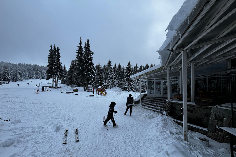 Vitosha: Ski Day Trip by Mountain Stars Ski School