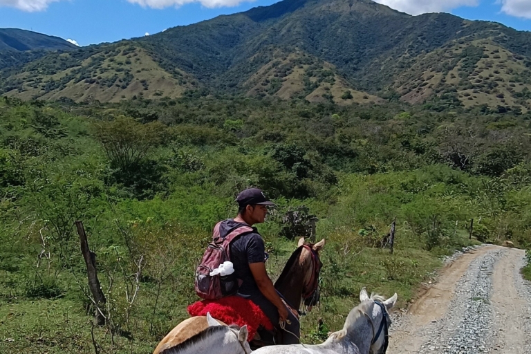 Desde Medellín: Tour a caballo + Bezoek Santa Fe de AntioquiaVanaf Medellin: Paseo a caballo+Visita Santa Fe de Antioquia