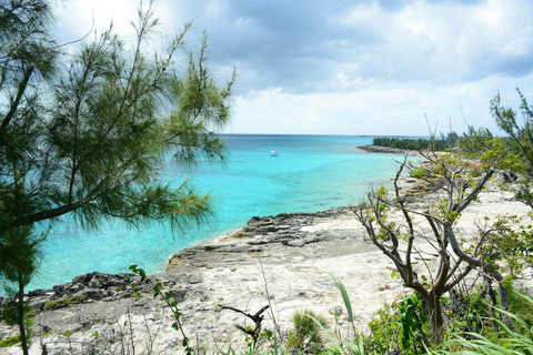 Nassau Bucket List: Private Full-Day Exploration Tour
