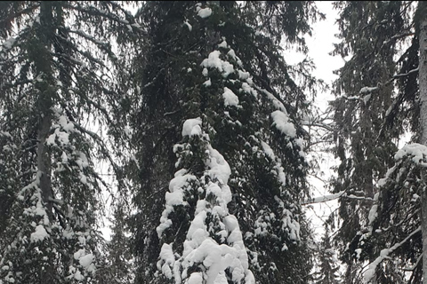 Rovaniemi: Korouoma Frozen Waterfalls Hike & Hot BBQ Lunch Rovaniemi: Korouoma Small Group Guided Hike & Hot BBQ lunch