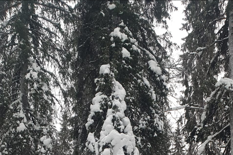 Rovaniemi: Korouoma Frozen Waterfalls Hike & Hot BBQ Lunch Rovaniemi: Korouoma Small Group Guided Hike & Hot BBQ lunch