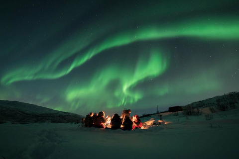 From Tromsø: Small Group Northern Lights Tour