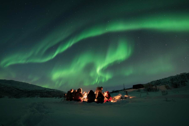 From Tromsø: Small Group Northern Lights Tour