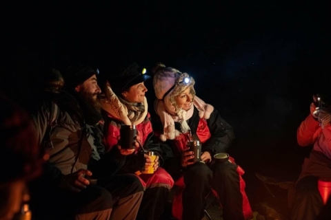 Ab Tromsø: Nordlichter-Tour in kleiner Gruppe