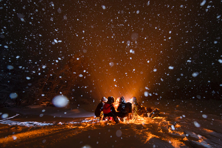 Ab Tromsø: Nordlichter-Tour in kleiner Gruppe