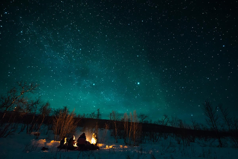 Ab Tromsø: Nordlichter-Tour in kleiner Gruppe