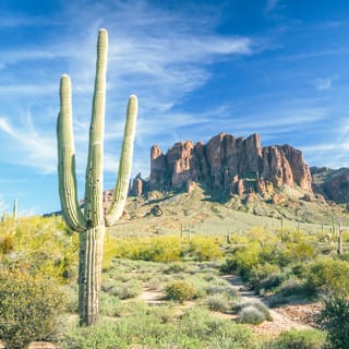 Metro Phoenix: Apache Trail Tour with Canyon Lake Cruise