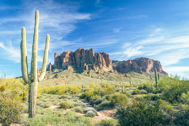 Apache Trail Tour and Lake Cruise: From Phoenix / Scottsdale