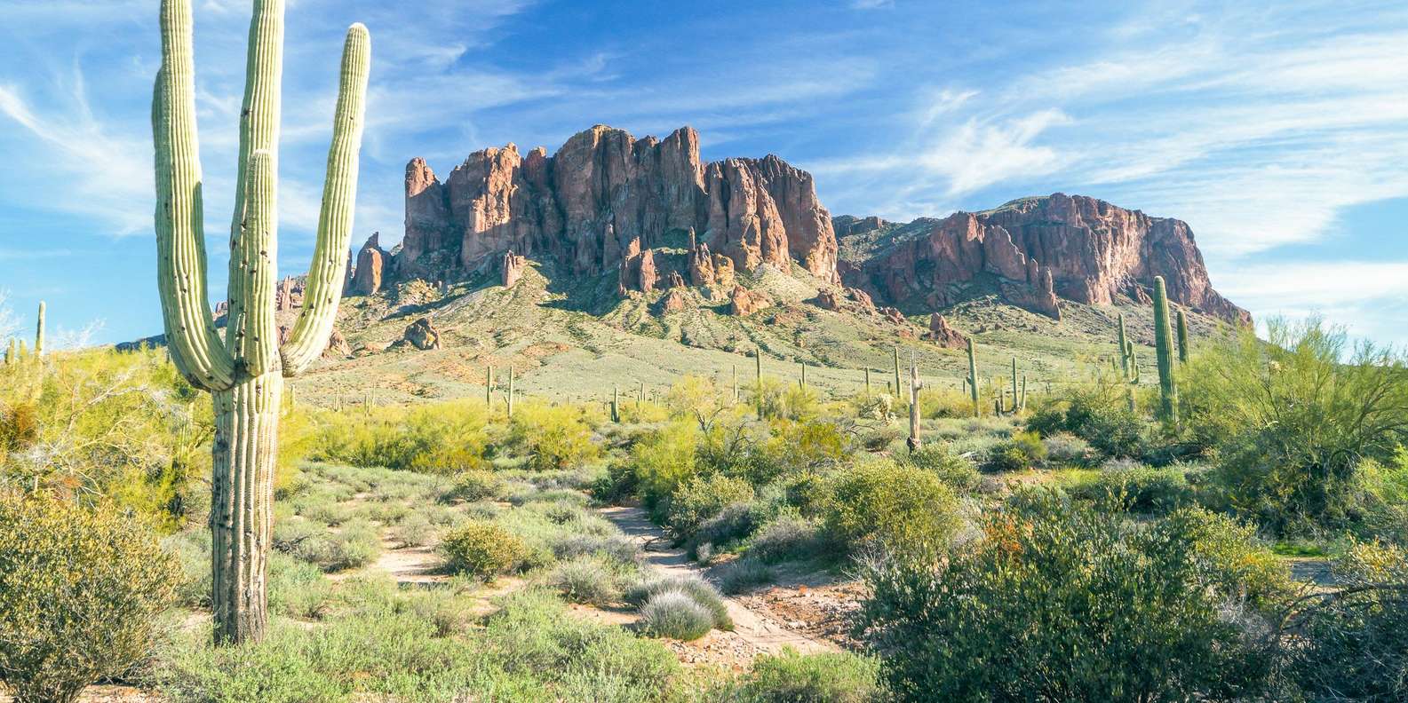 Phoenix/Scottsdale: Apache Trail Tour & Canyon Lake Cruise