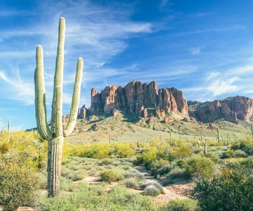 Phoenix/Scottsdale: Apache Trail Tour & Canyon Lake Cruise