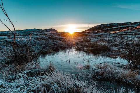 Depuis Tromsø : visite guidée des paysages arctiques